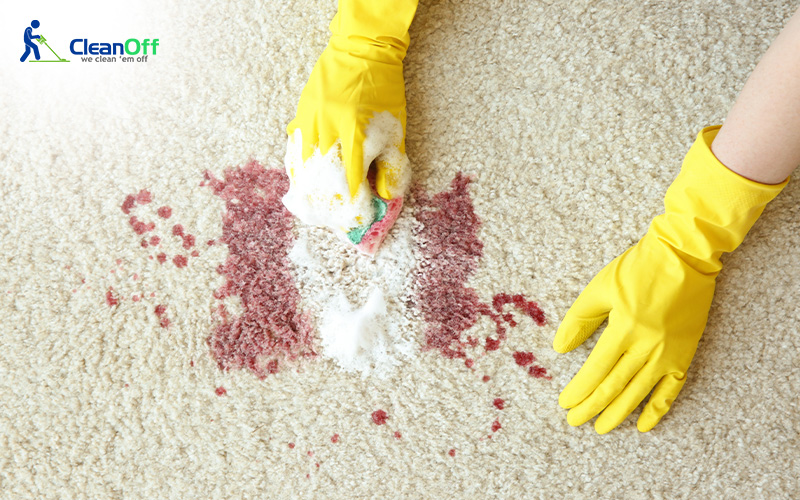 A gloved hand cleaning a red stain from the carpet