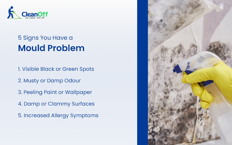 Infographic listing five signs of mould problem