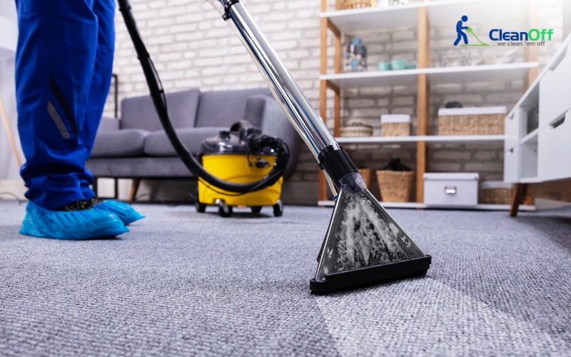 Professional cleaner vacuuming the carpet