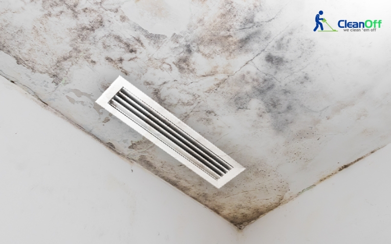 Severe ceiling mould near air vent
