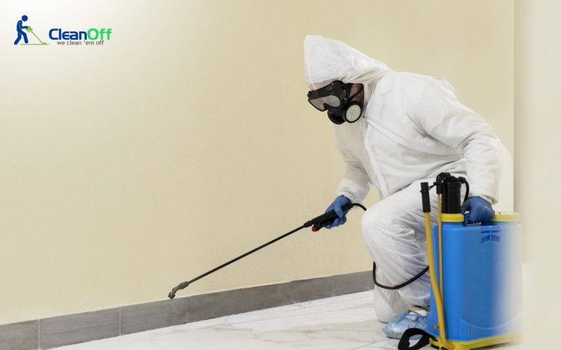 Technician spraying mould treatment along baseboard
